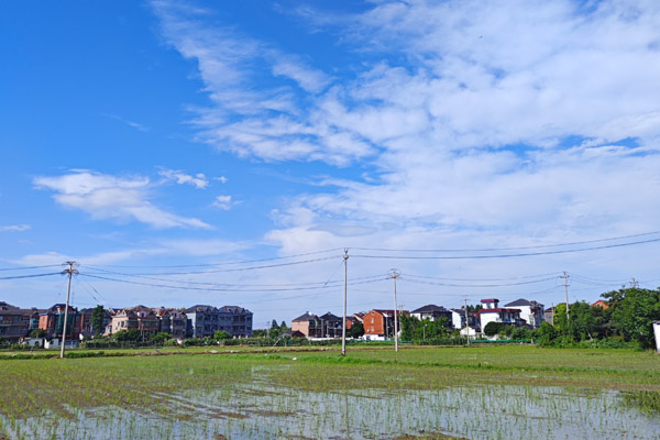 農(nóng)業(yè)農(nóng)村部和中國氣象局聯(lián)合發(fā)布冬小麥、油菜凍害風(fēng)險(xiǎn)預(yù)警