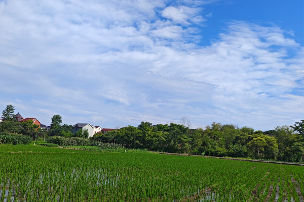 岳陽農(nóng)機(jī)化服務(wù)中心一行深入基層開展春耕備耕、農(nóng)機(jī)報(bào)廢更新工作調(diào)研