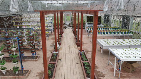 科普研学温室大棚设计