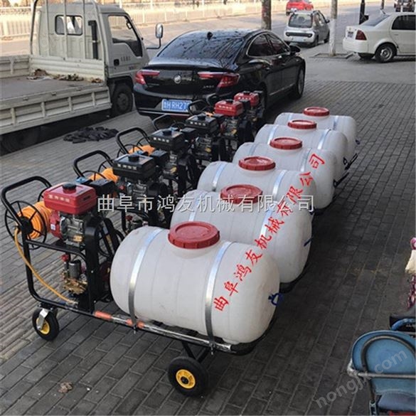 鴻友打藥機山西手推式遠程高壓噴射果園打藥 汽油打藥機泵頭