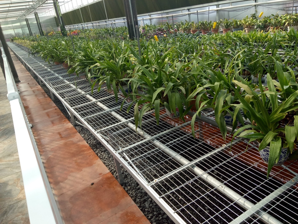 **温室移动苗床 汉明整体育苗床特点