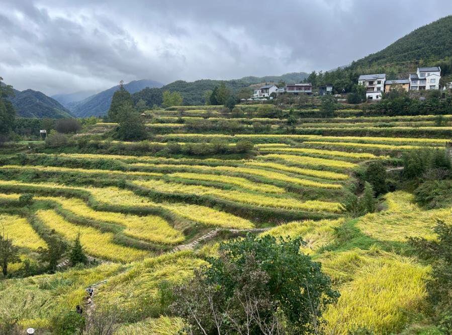 达州发展新质生产力 奋力打造丘陵山区现代农机装备研发制造高地