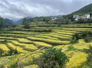 达州发展新质生产力 奋力打造丘陵山区现代农机装备研发制造高地