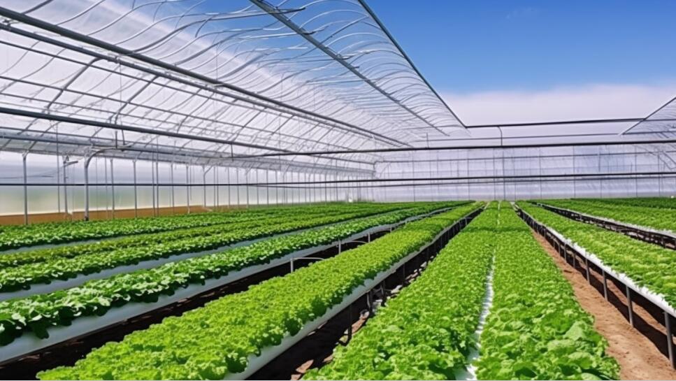 最高可补贴60万元！陕西省印发温室大棚骨架成套设施装备补贴试点方案