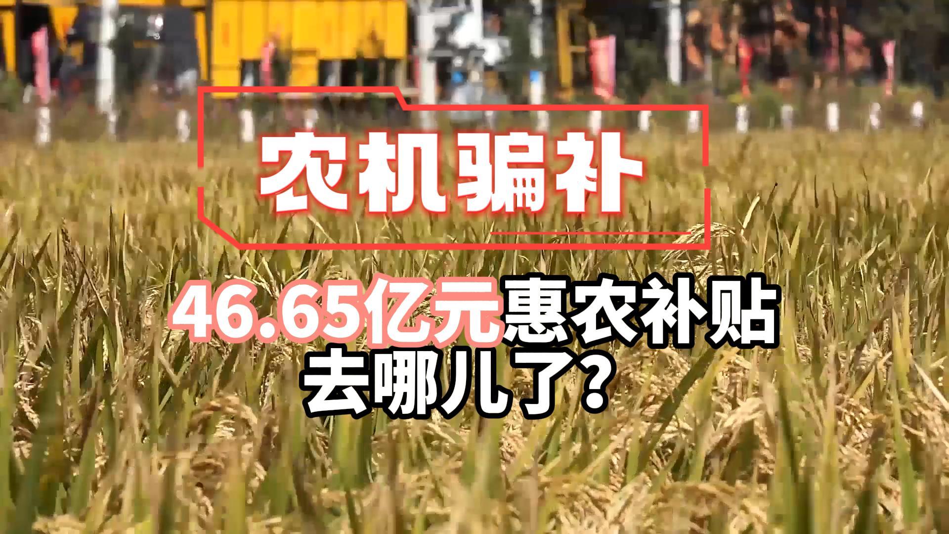 热点话题丨为何农机购置领域是骗补行为的多发区?