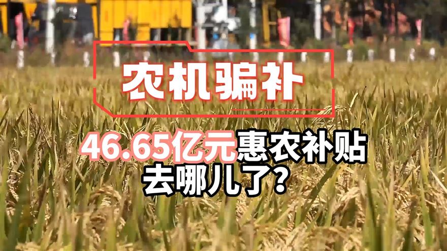 热点话题丨为何农机购置领域是骗补行为的多发区?