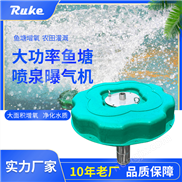 RPQ河道魚塘增氧機(jī) 喇叭花噴泉曝氣機(jī)